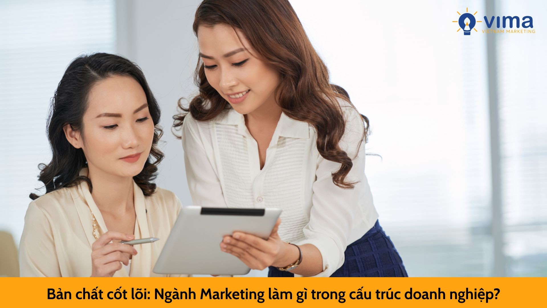 Bản chất cốt lõi: Ngành Marketing làm gì trong cấu trúc doanh nghiệp?